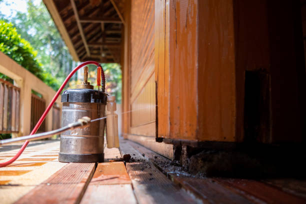 Best Best Pest Control Companies  in Grayson, GA