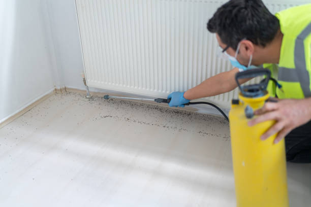 Best Cockroach Control Services  in Grayson, GA