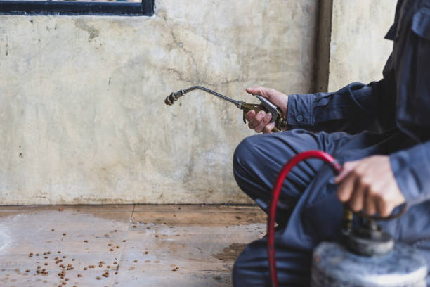 Best Affordable Pest Control Services  in Grayson, GA