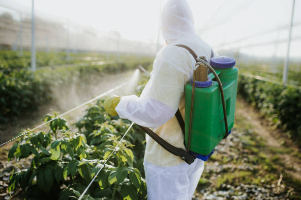 Reliable Grayson, GA Pest Control Solutions